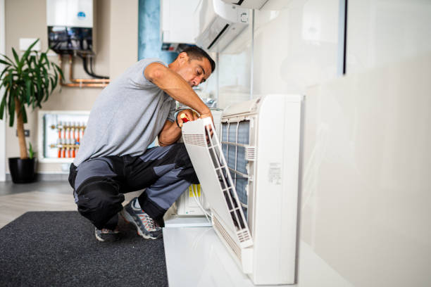 Best Home Air Vent Cleaning  in Mishawaka, IN