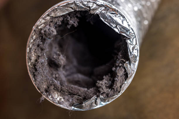 Best Affordable HVAC Duct Cleaning  in Mishawaka, IN
