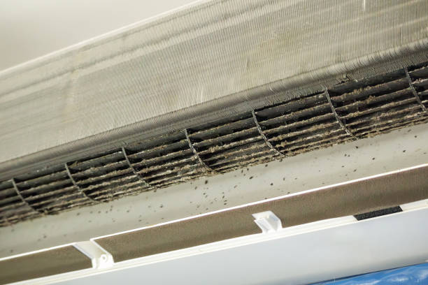 Best Commercial Air Duct Cleaning  in Mishawaka, IN